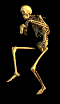 :skelet: